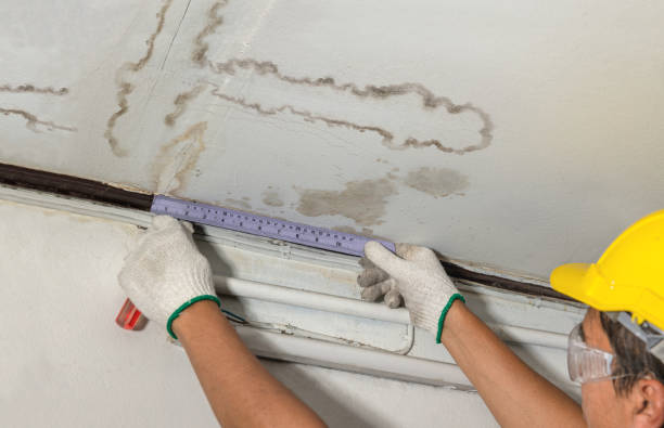 24/7 Emergency Structural Drying experts in Genoa, IL