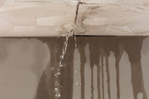 Professional Structural Drying technician working in Genoa, IL